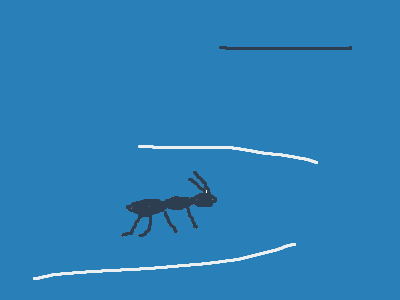 fast running ant!