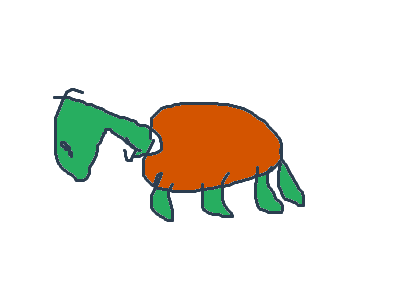 What yo favourite animal?