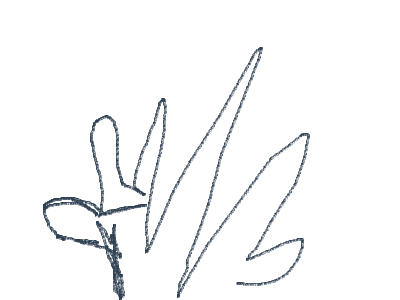 i drew a hand