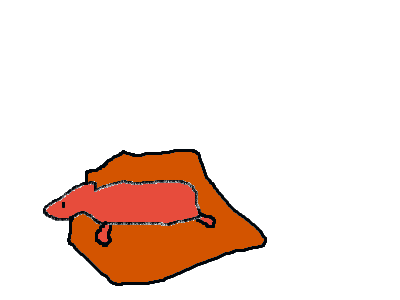 my dog just threw up a rat