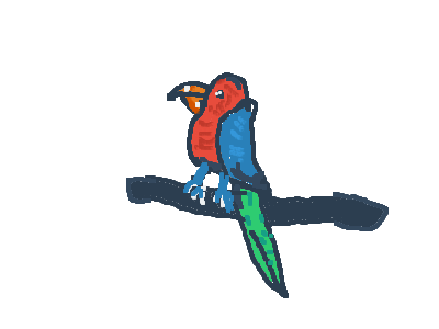 parrot birb for sale $50