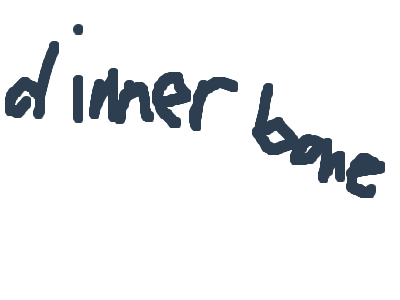 never type dinnerbone on minecraft