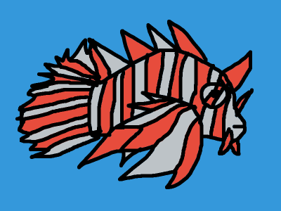 Lionfish 