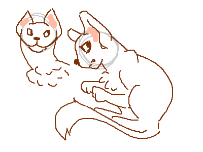 Cat reference