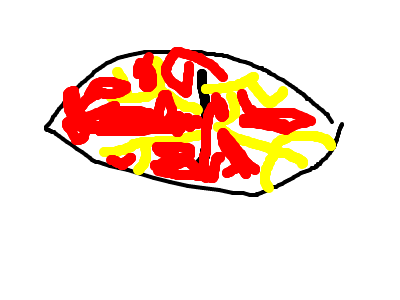 WHAT DID YOU JUST SAY