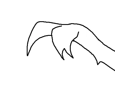 two ways of drawing hand