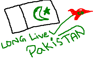 Pakistan Zindabad Skype Tanveer rauf