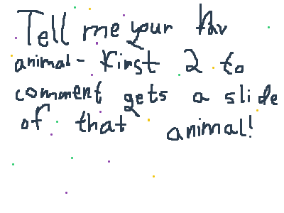 Tell me your favorite animal