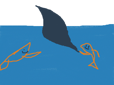 its not a shark its a boomerang