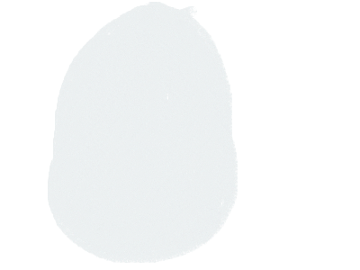 Egg chick chicken grownup chick