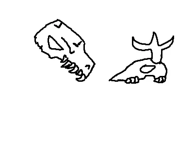 skulls