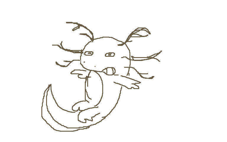 a normal brown axolotl