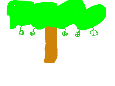 grenade tree