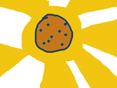 GLORIEST COOKIE