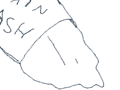 I FILL MY BRAIN WITH BRAIN WASH