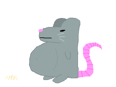 Rat