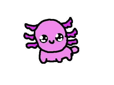 baby axolotl