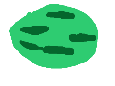 FOOD FOOD FOOD WATERMELON