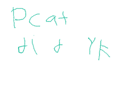 Do you know the Garfield show Garfield is a pcat