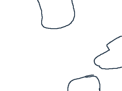 Fluffy chicken and friends