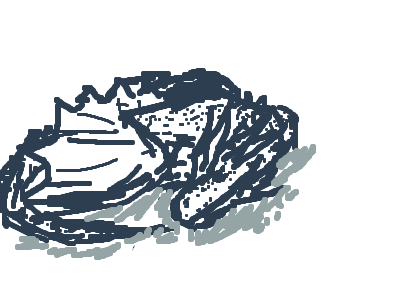 sleeping dragon drawing