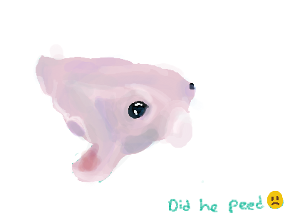 idk guys I'm just bored