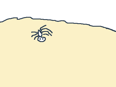 when there's a spider in the house