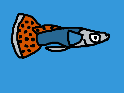 Guppie
