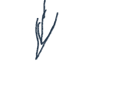 Who wants to make a shindo life movie talk in chat