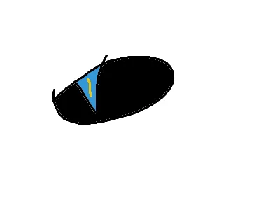 W.I.P