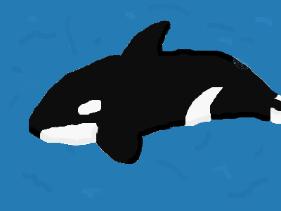 hi there, hello, i am a w h a l e