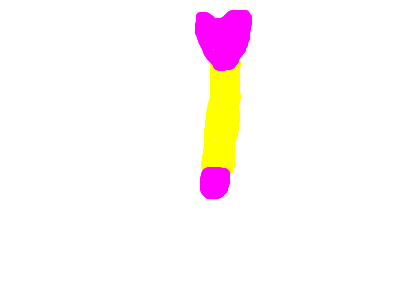 magic wand!