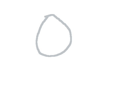 egg hatching basics of anima fiction moster chick