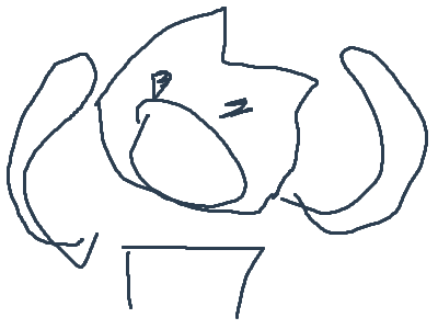 SUPER DUPER IMPORTANTE ASAP