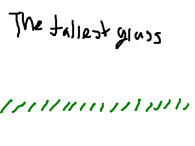 the tallest grass