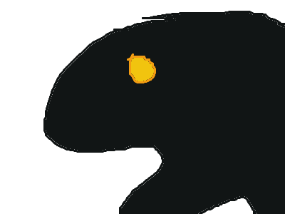 Space owl told me to animate this