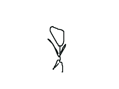 showing my grandma how it works