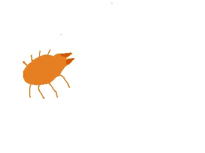 Allergische reactie