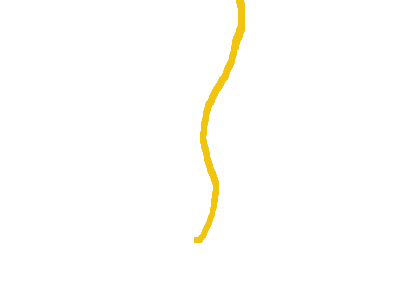 The line of noodles