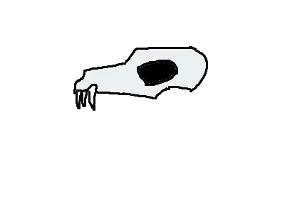 guess the character