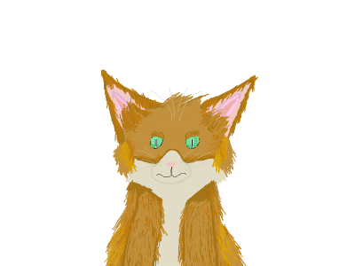 Drew my cat