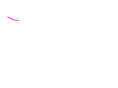 lines