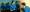 Artist Development Artist Development