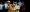 Schools and Colleges Header Schools and Colleges Header