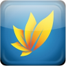 Paytunia Bitcoin Wallet