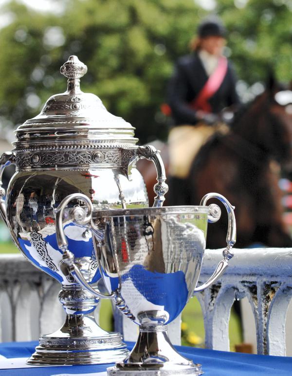 Discover Ireland Dublin Horse Show Results 15 August 2014 Premium discover-ireland-dublin-horse-show-results-15-august-2014-premium