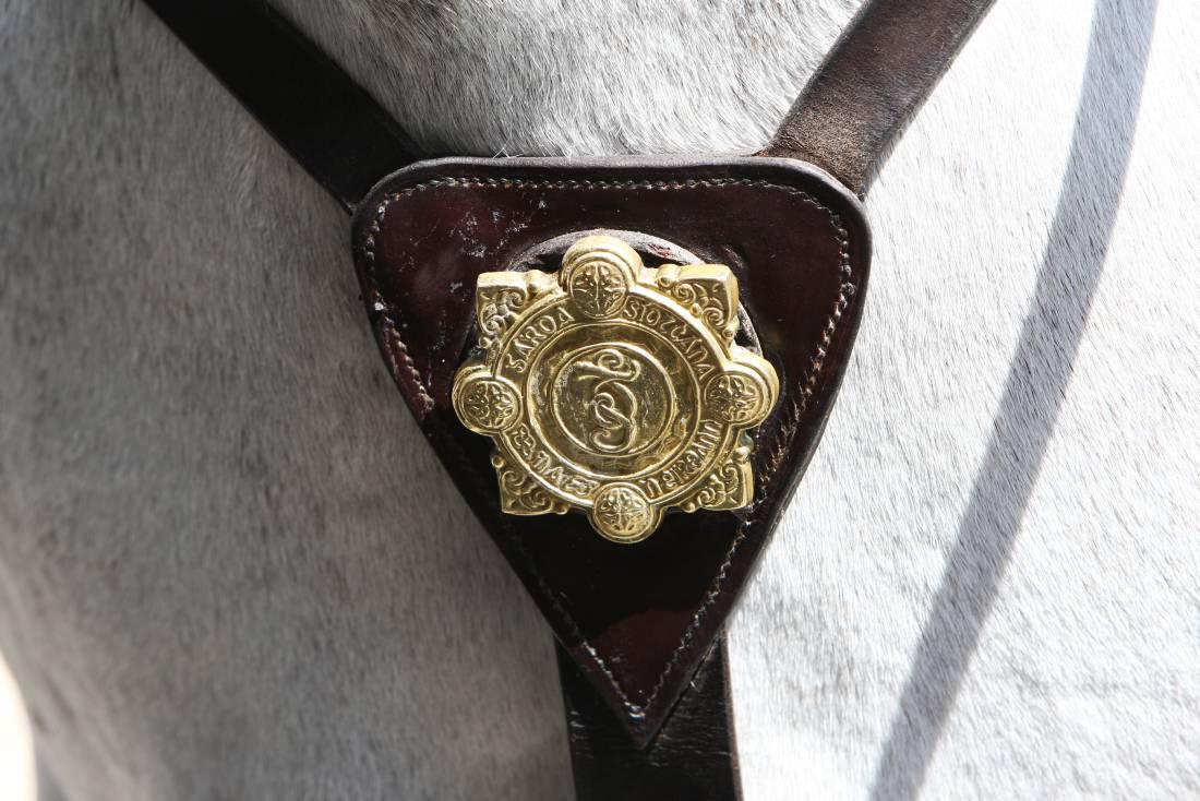 Mounted Gardai to be protected by Hit Air 19 December 2014 Premium