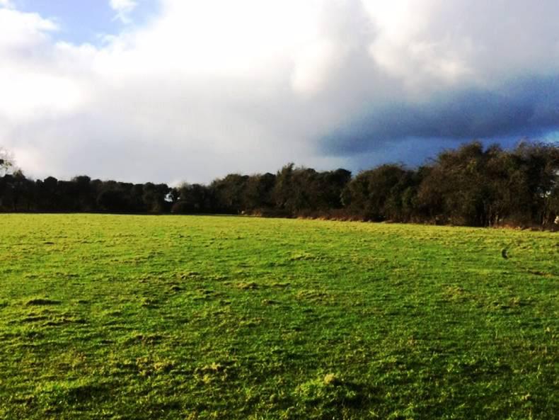 PROPERTY Laragh farms sells after lengthy negotiations 18 March 2016