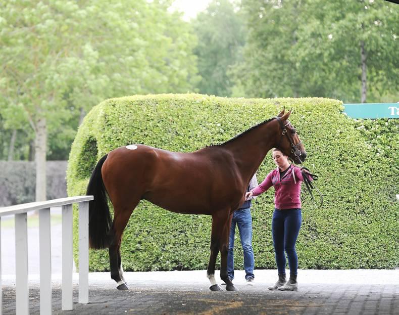 Goffs extend Land Rover Sale to three days 15 April 2016 Free
