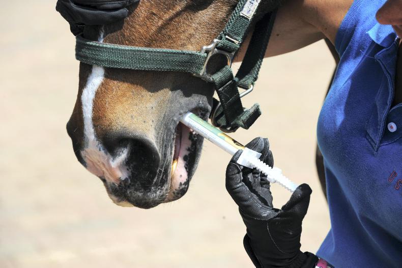 HORSE SENSE Winter worming advice 09 December 2016 Premium